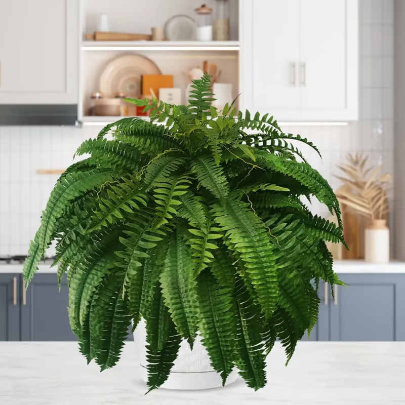 🌿UV Resistant Lifelike Artificial Boston Fern– Stay Green All Year!