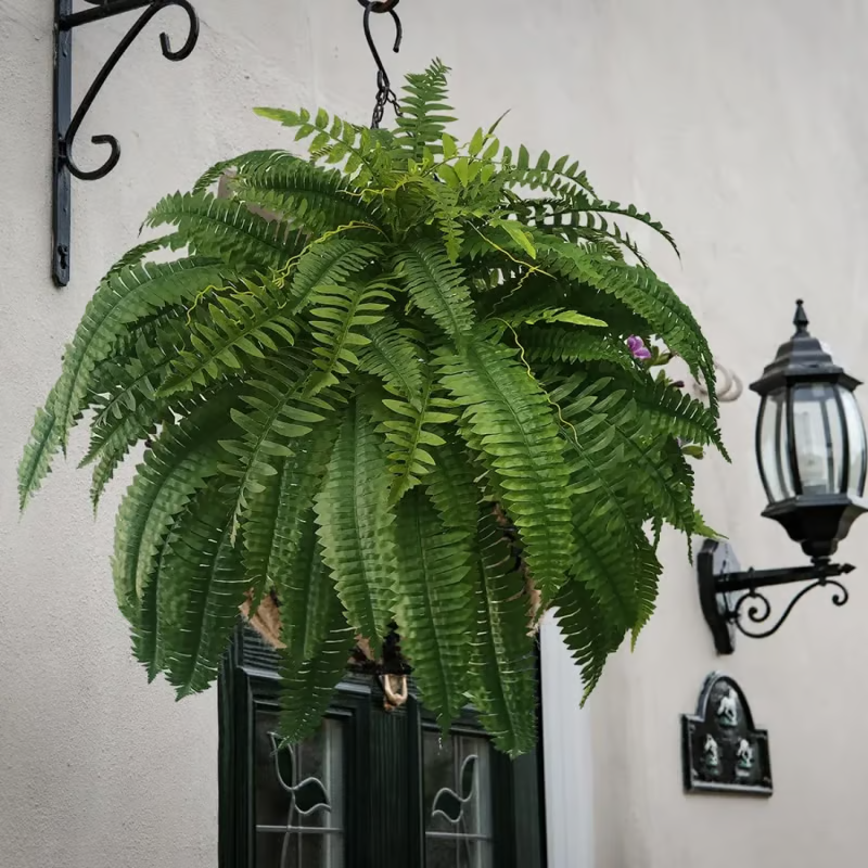 🌿UV Resistant Lifelike Artificial Boston Fern– Stay Green All Year!