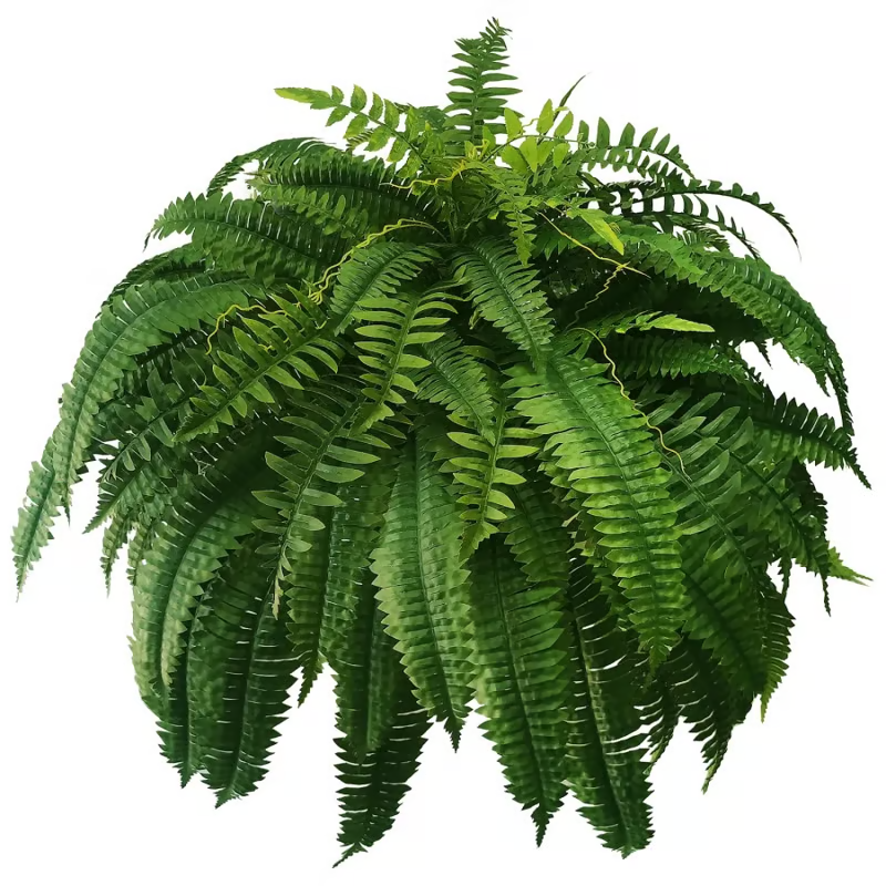 🌿UV Resistant Lifelike Artificial Boston Fern– Stay Green All Year!