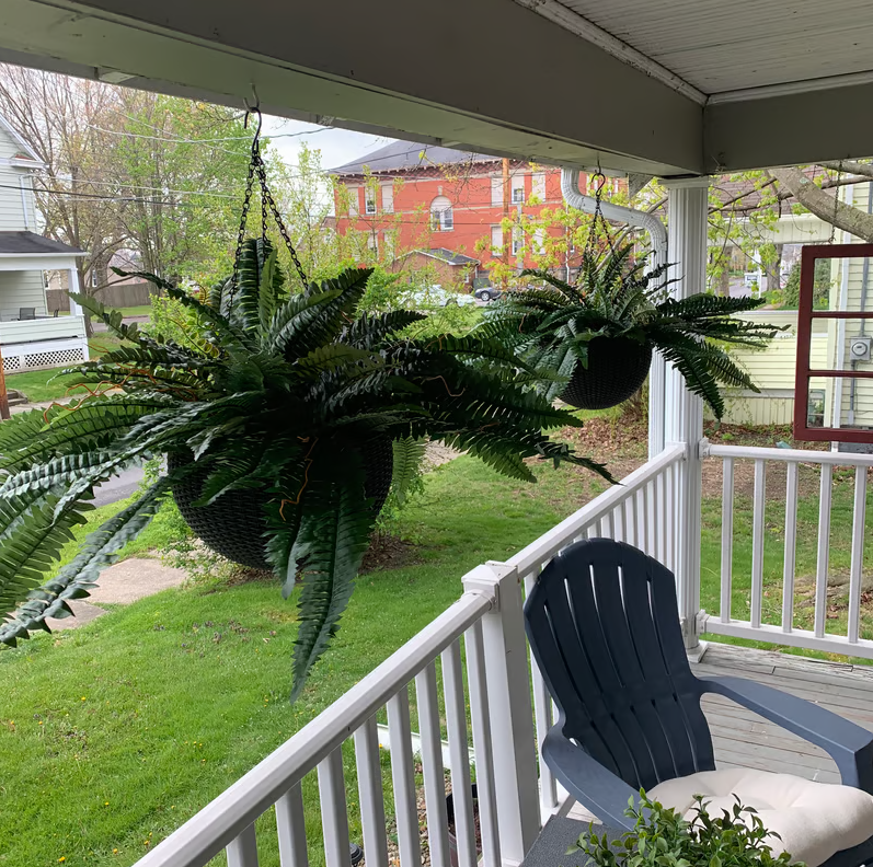 🌿UV Resistant Lifelike Artificial Boston Fern– Stay Green All Year!