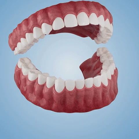 🇩🇪 Vaxflite™ – Germany Custom-Crafted Dentures for a Seamless, High-End Smile