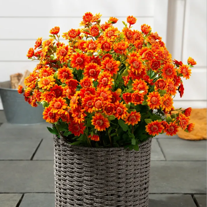 Artificial Outdoor Sunset Mums Flowers - Waterproof, Windproof