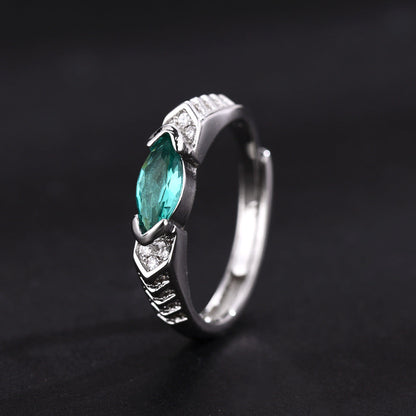 (🎅Christmas 🎄Limited Time Discount 80% Last Day 🎁)🔥DIYSTAR Magnetology Moissanite Diamond Ring💖